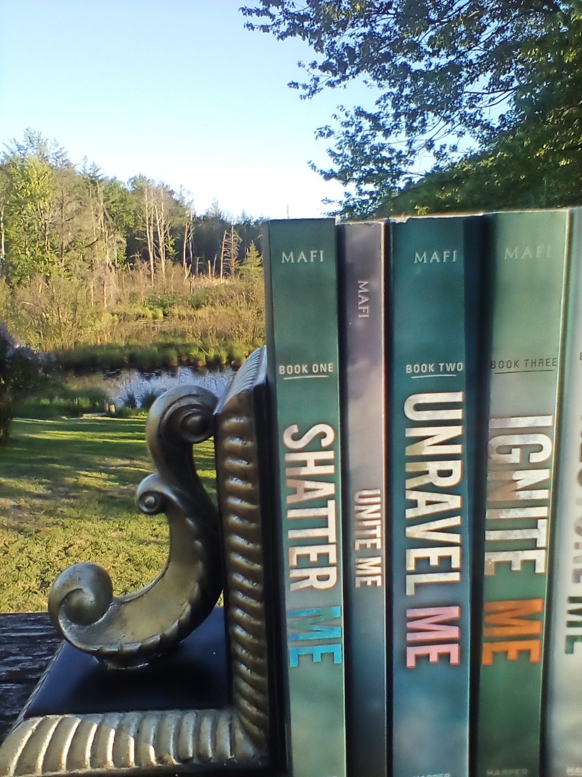 Lot of 11 Shatter Me Series in 9 books Complete, Novellas, Watch Me Tahereh Mafi