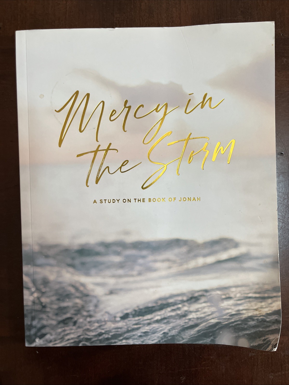 Mercy in the Storm | A Bible Study on the Book of Jonah