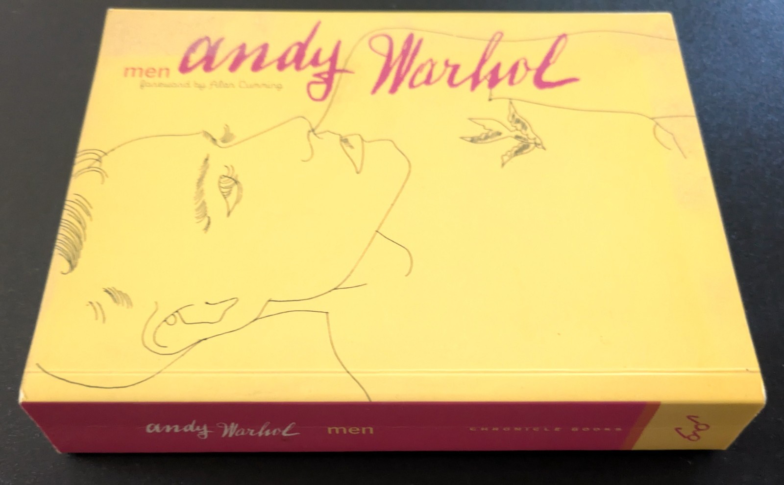 andy Warhol men BRAND NEW Line Drawing & Photography Art Book GAY INTEREST 2004