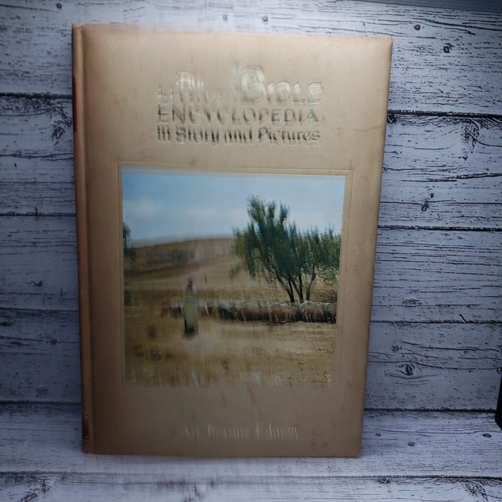 Lot of 9 THE LIVING BIBLE ENCYCLOPEDIA IN STORY AND PICTURES Vol 1, 9-16 HC 1968