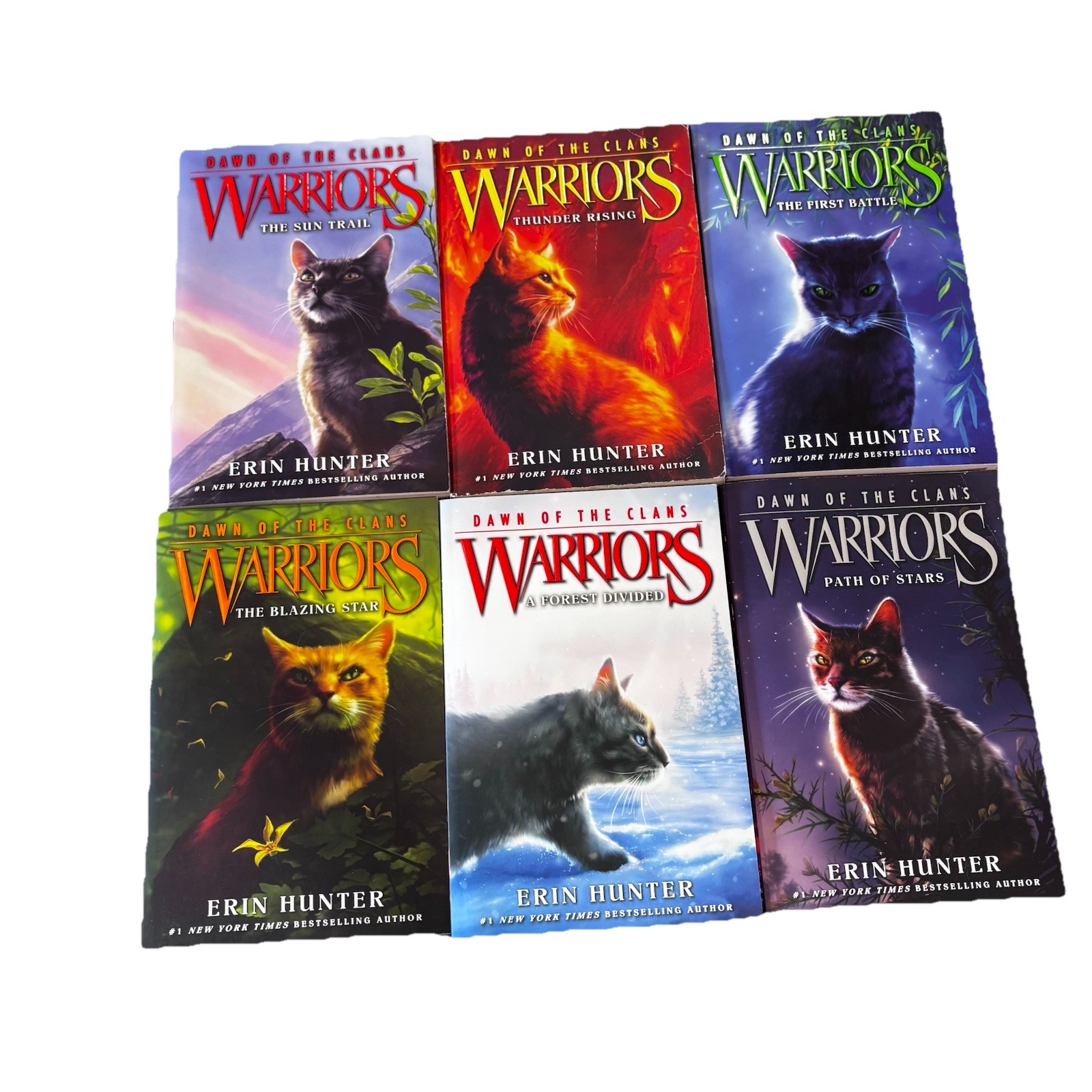 Warriors: Dawn of the Clans Complete Set Books 1-6 Paperback Lot By Erin Hunter