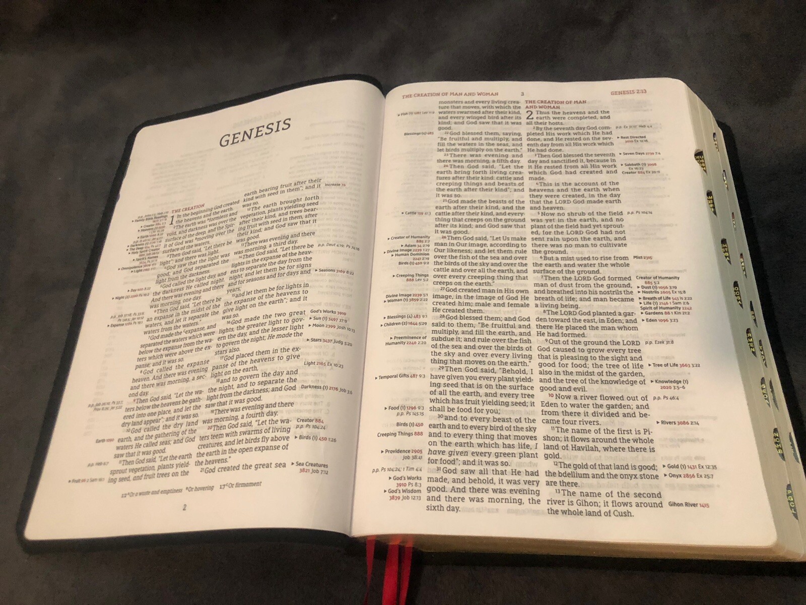 NASB thompson chain reference Bible Large Print New American Standard Leather