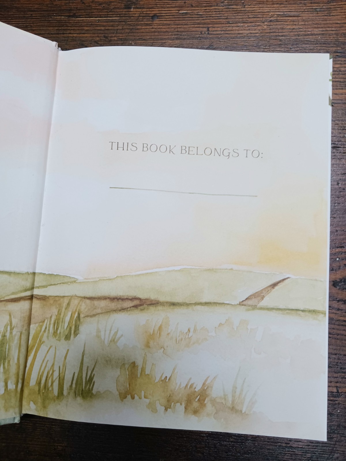 Pilgrim: 25 Ways God’s Character Leads Us Onward by Ruth Chou Simons
