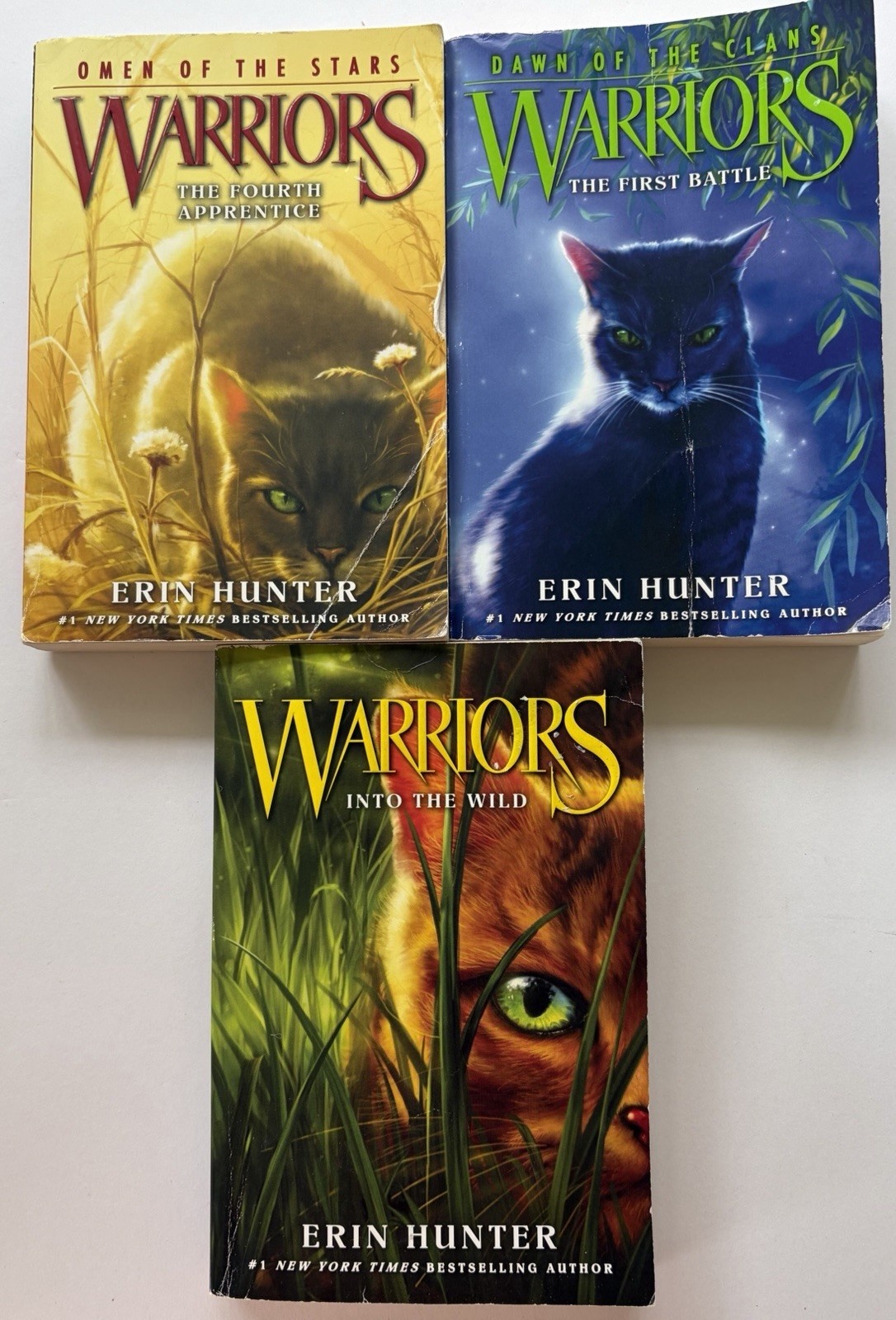 Lot of 3 Warriors Omen of the Stars Into the Wild Dawn of the Clan Erin Hunter