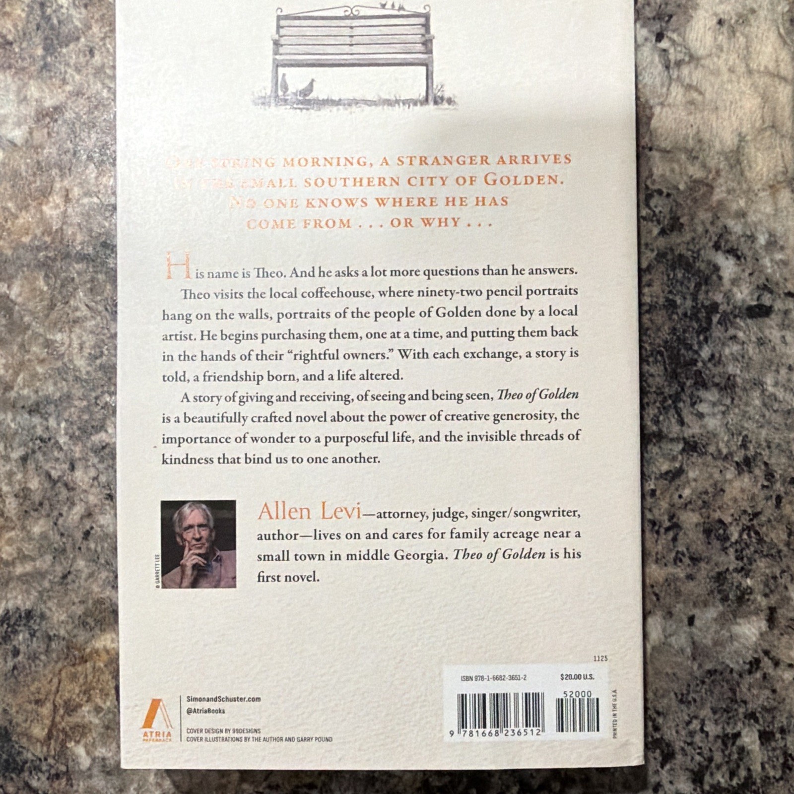 Theo of Golden by Allen Levi Paperback Novel Atria Books English Generosity