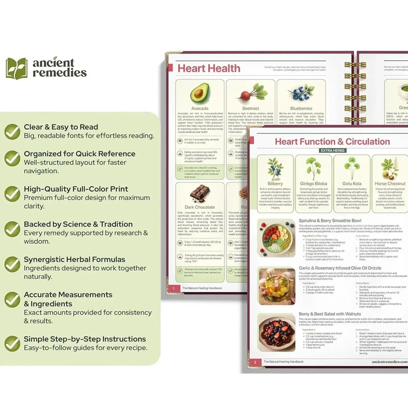 The Natural Healing Handbook, Spiral-Bound Guide for Herbal Remedies and Natural