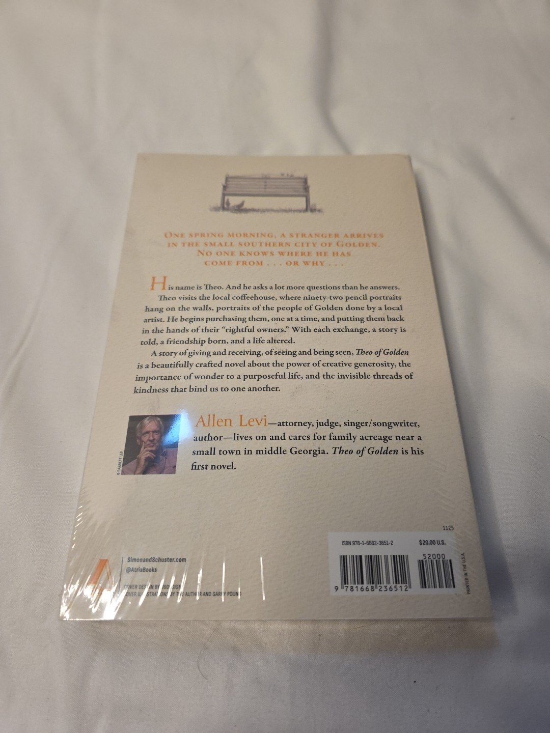 Theo of Golden by Allen Levi (English) Paperback Book Brand New Sealed