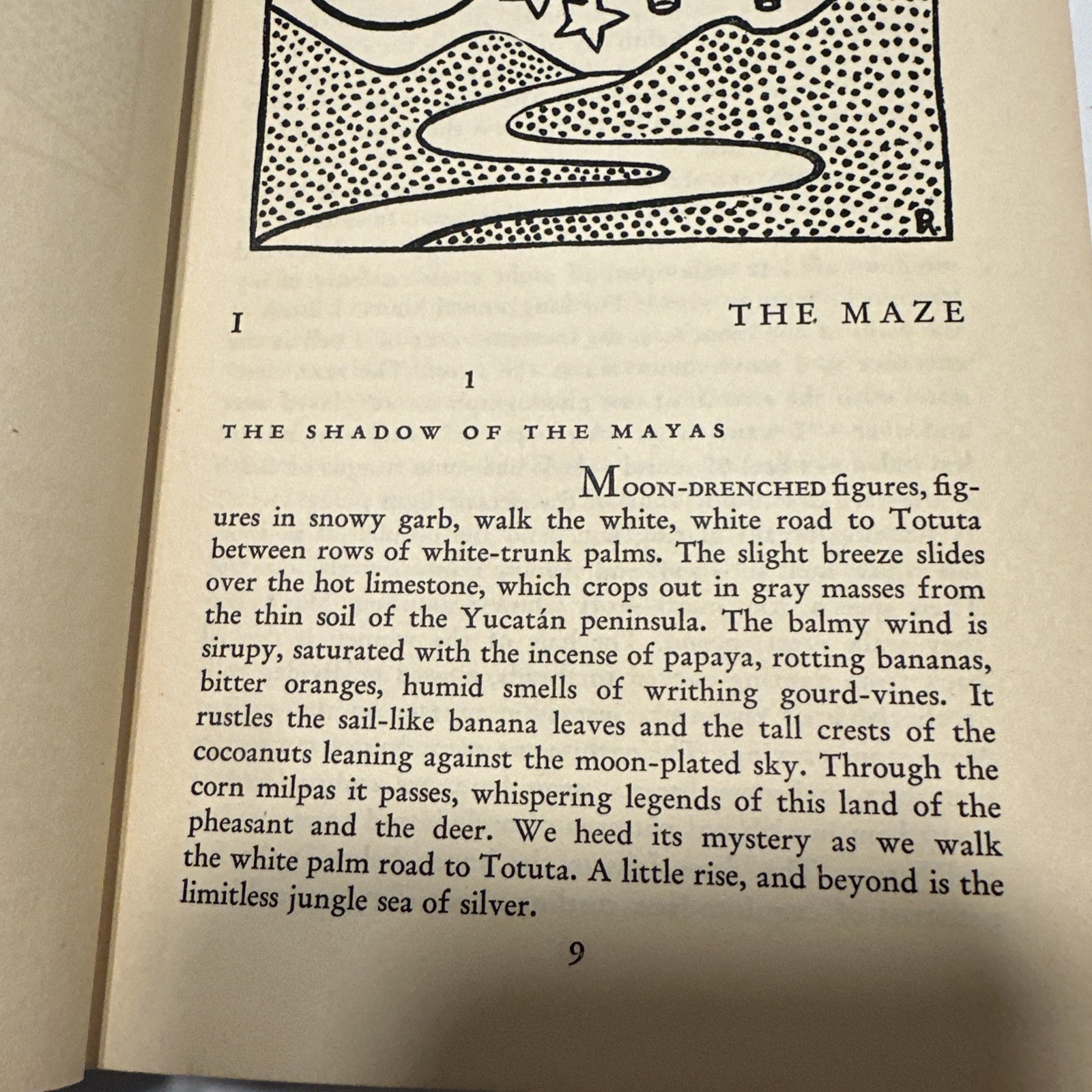 Mexican Maze By Carleton Beals 1931 Hardback Vintage