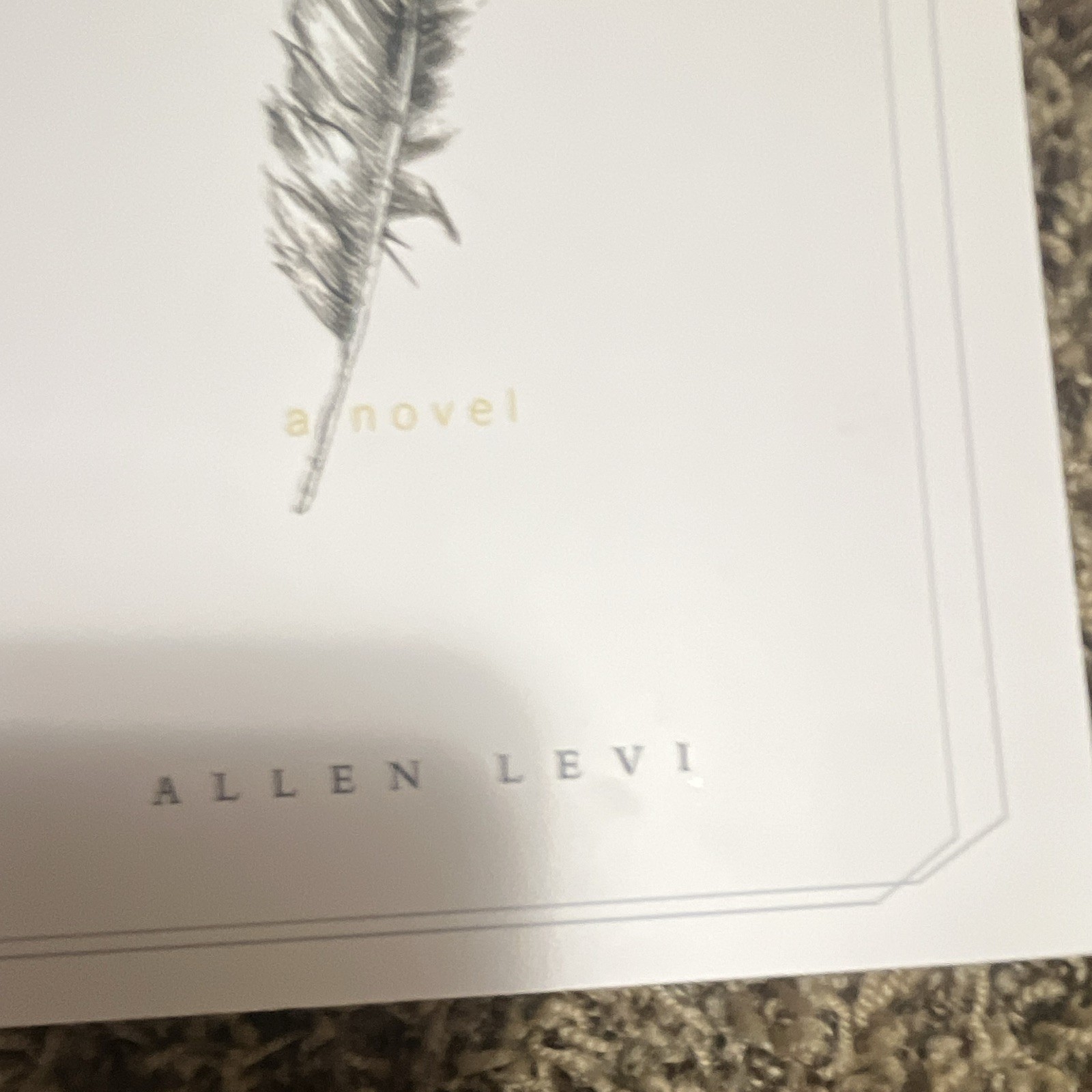 Theo of Golden Allen Levi Paperback Fiction Novel Kindness Creative Generosity