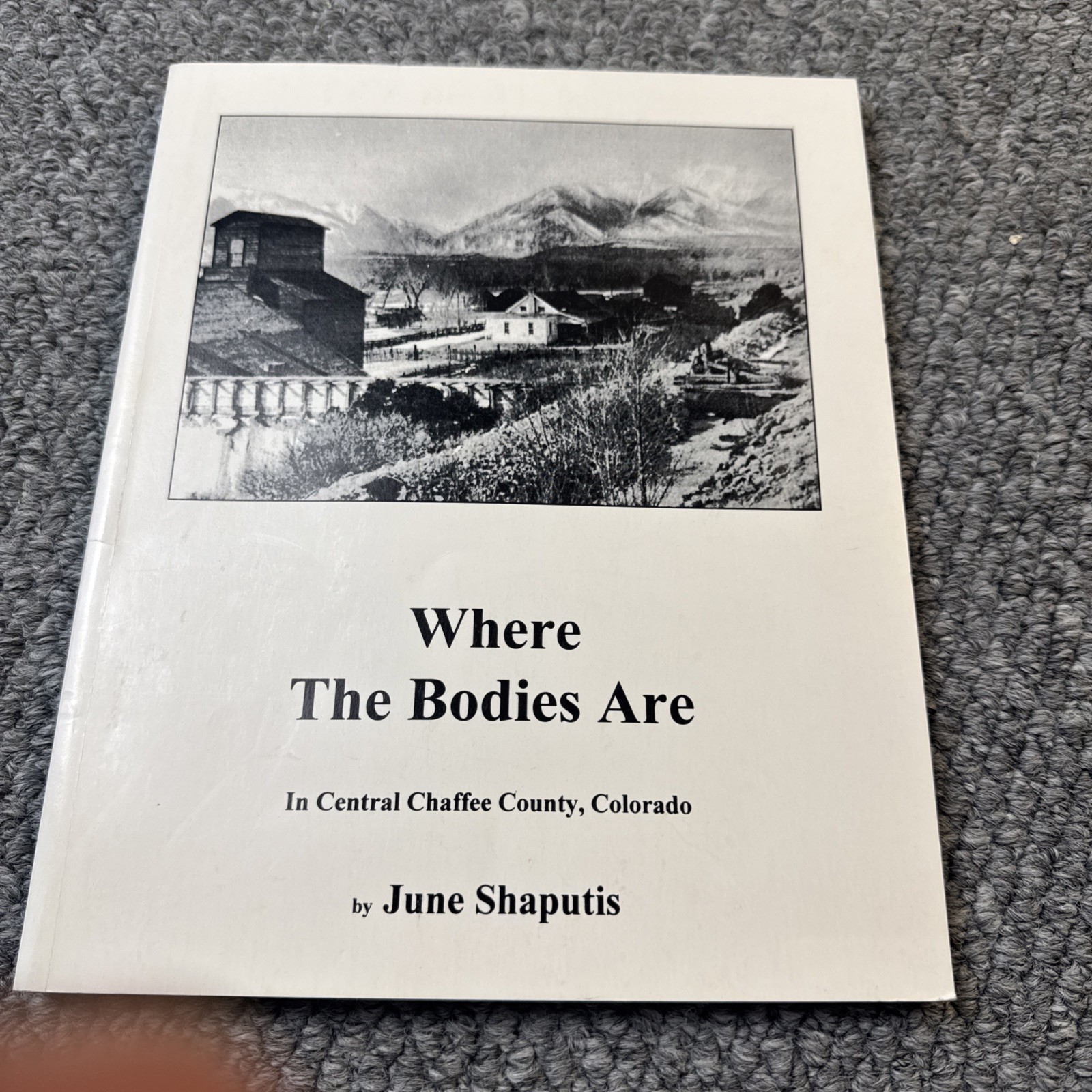 WHERE BODIES ARE CENTRAL CHAFFEE LAKE COUNTY COLORADO HISTORY MINING SIGNED 1st