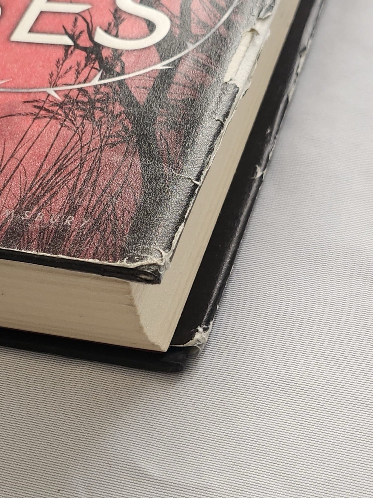 A Court of Thorns and Roses by Sarah J Maas First Edition 2015 Hardcover