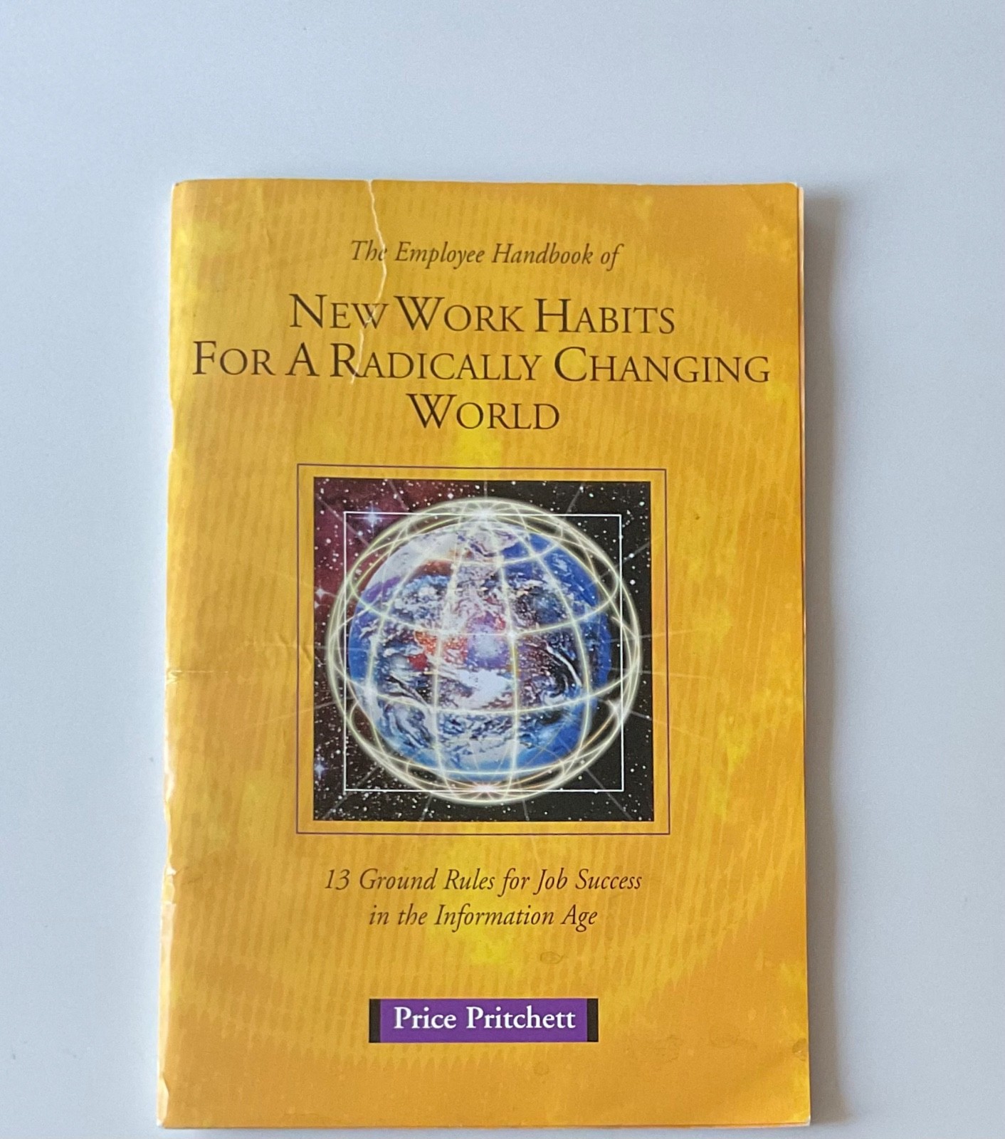 New Work Habits For A Radically Changing World – Price Pritchett – Chapbook