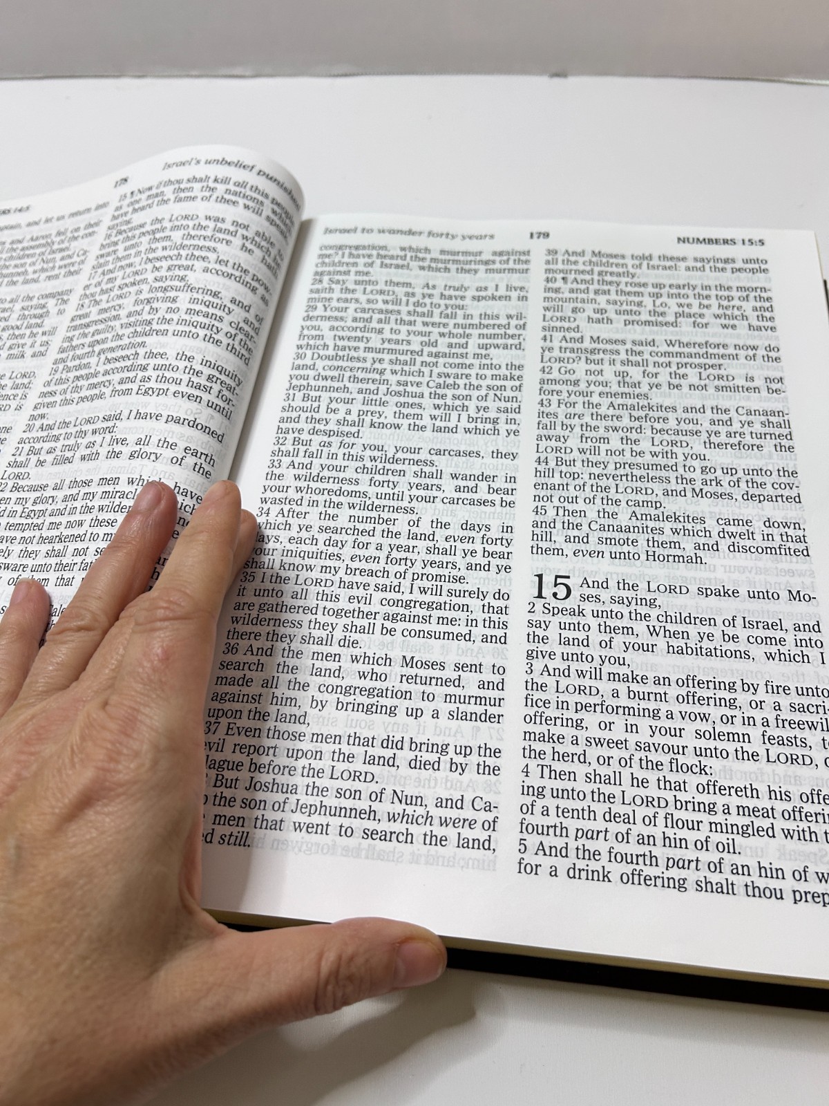 KJV Holy Bible Giant Print Personal Library Edn Reference Dictionary Concordance