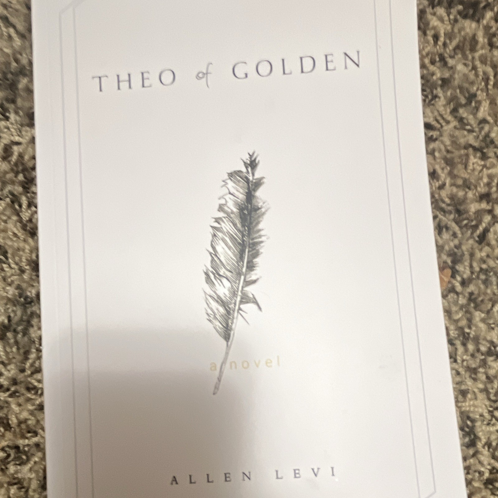 Theo of Golden Allen Levi Paperback Fiction Novel Kindness Creative Generosity