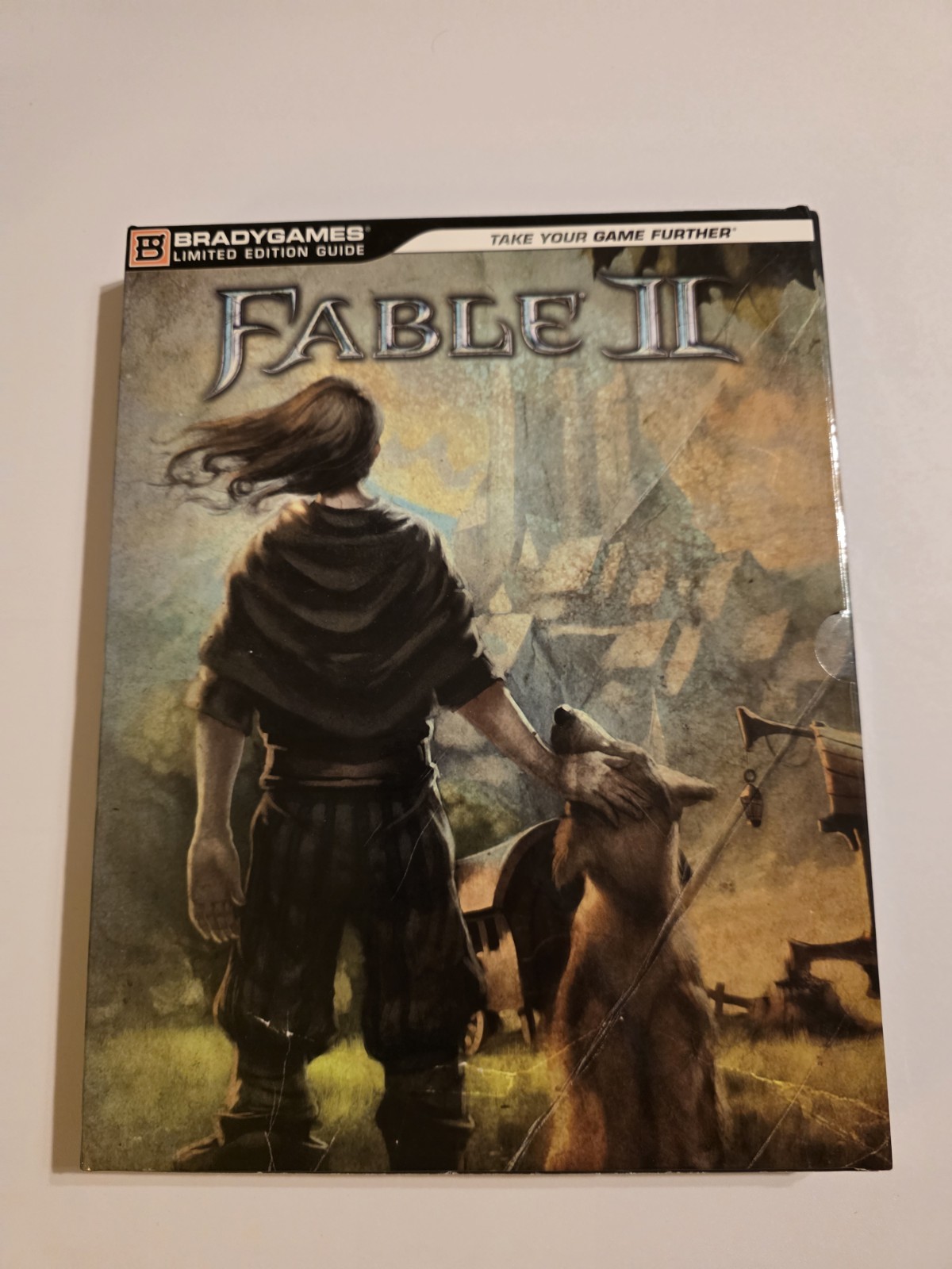 Fable II Limited Edition Strategy Guide