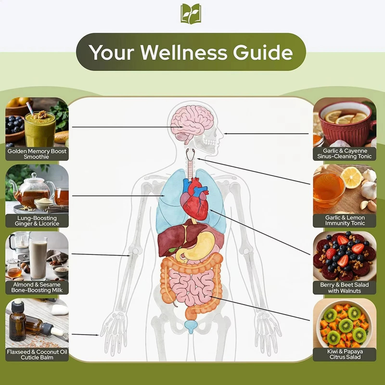 The Natural Healing Handbook, Spiral-Bound Guide for Herbal Remedies and Natural