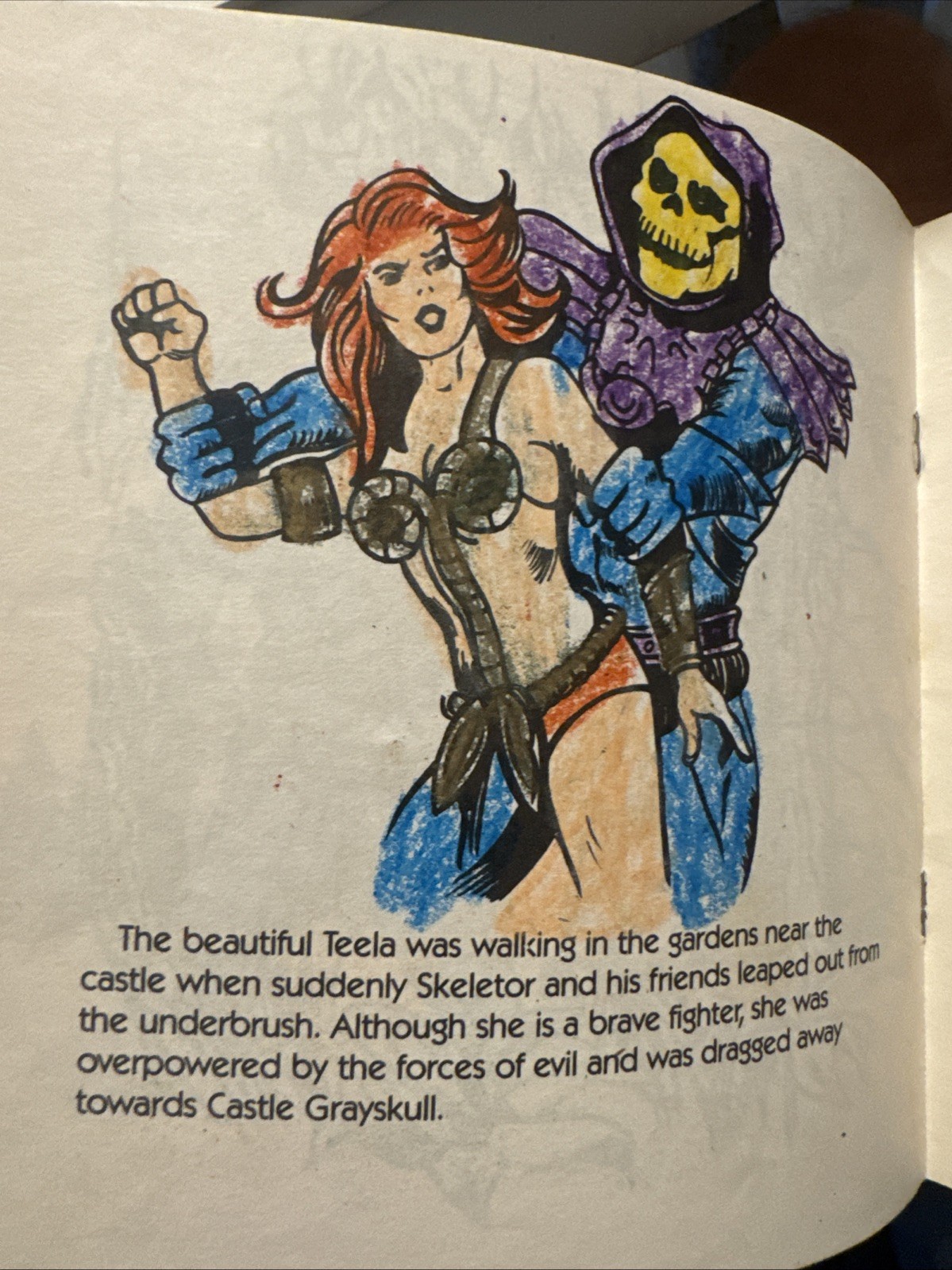 Lot Of 3 Vintage Masters Of The Universe Books From 1983 He-Man Skeletor