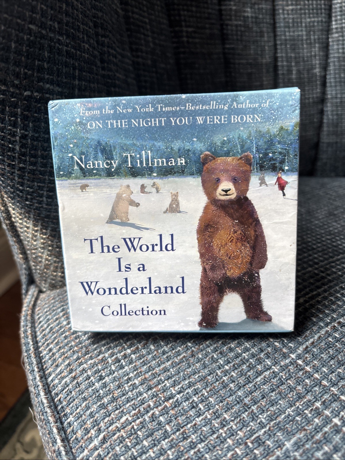 The World is a Wonderland Collection Nancy Tillman 4 Board Books FREE SHIPPING