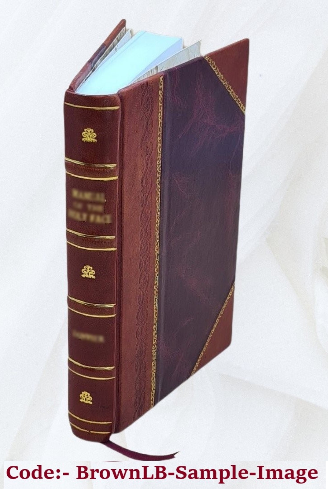 The Lady’S Manual Of Homeopathic Treatment In The Various Derang [Leather Bound]