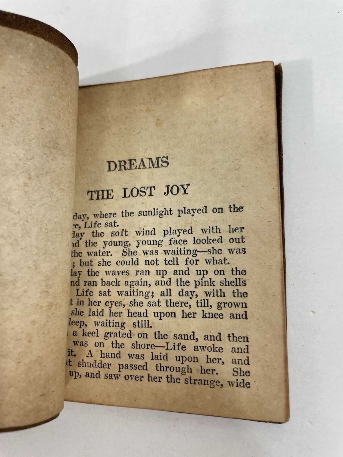 Dreams Olive Schreiner Green Miniature Little Leather Library Book 1920s
