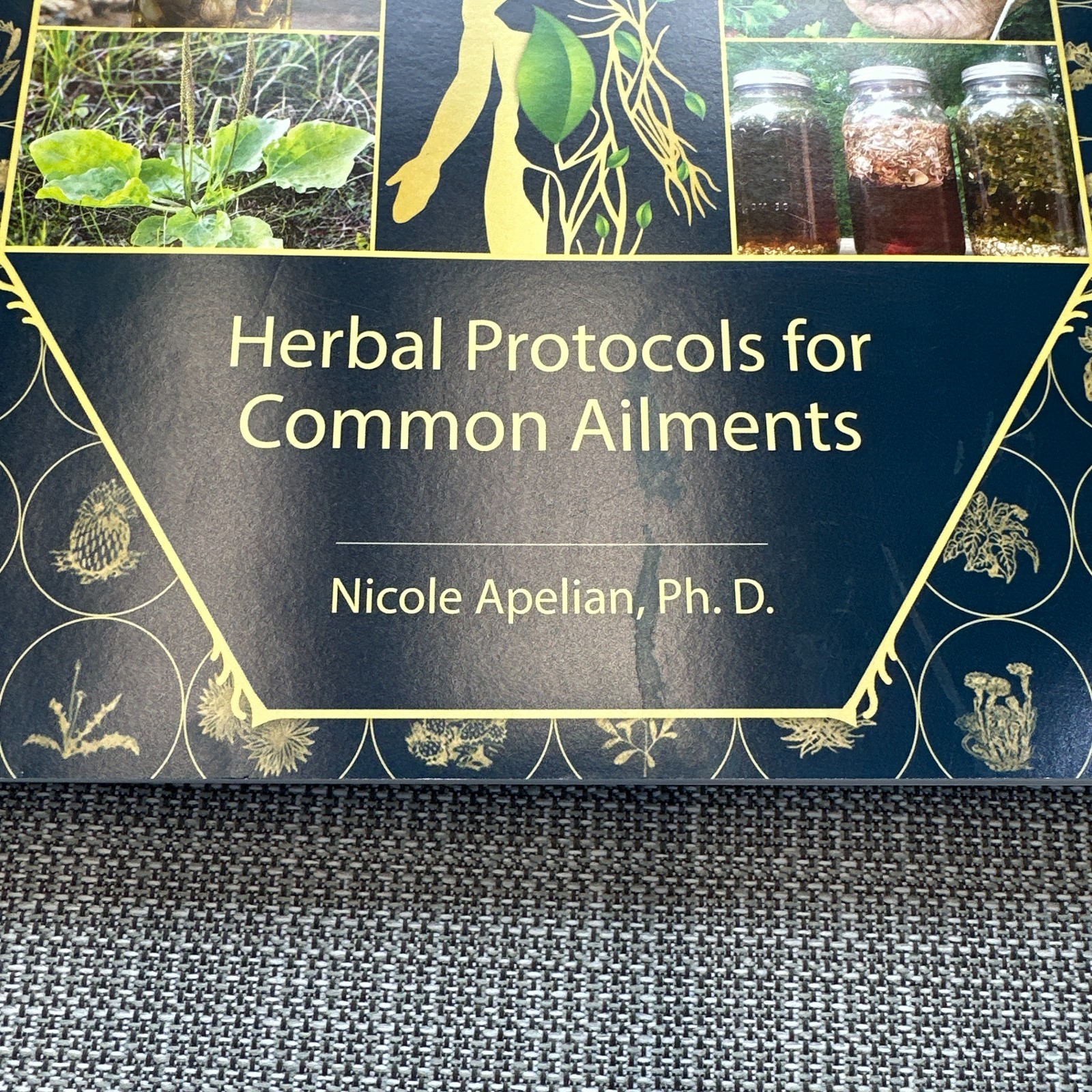 The Holistic Guide to Wellness : Herbal Protocols for Common Ailments