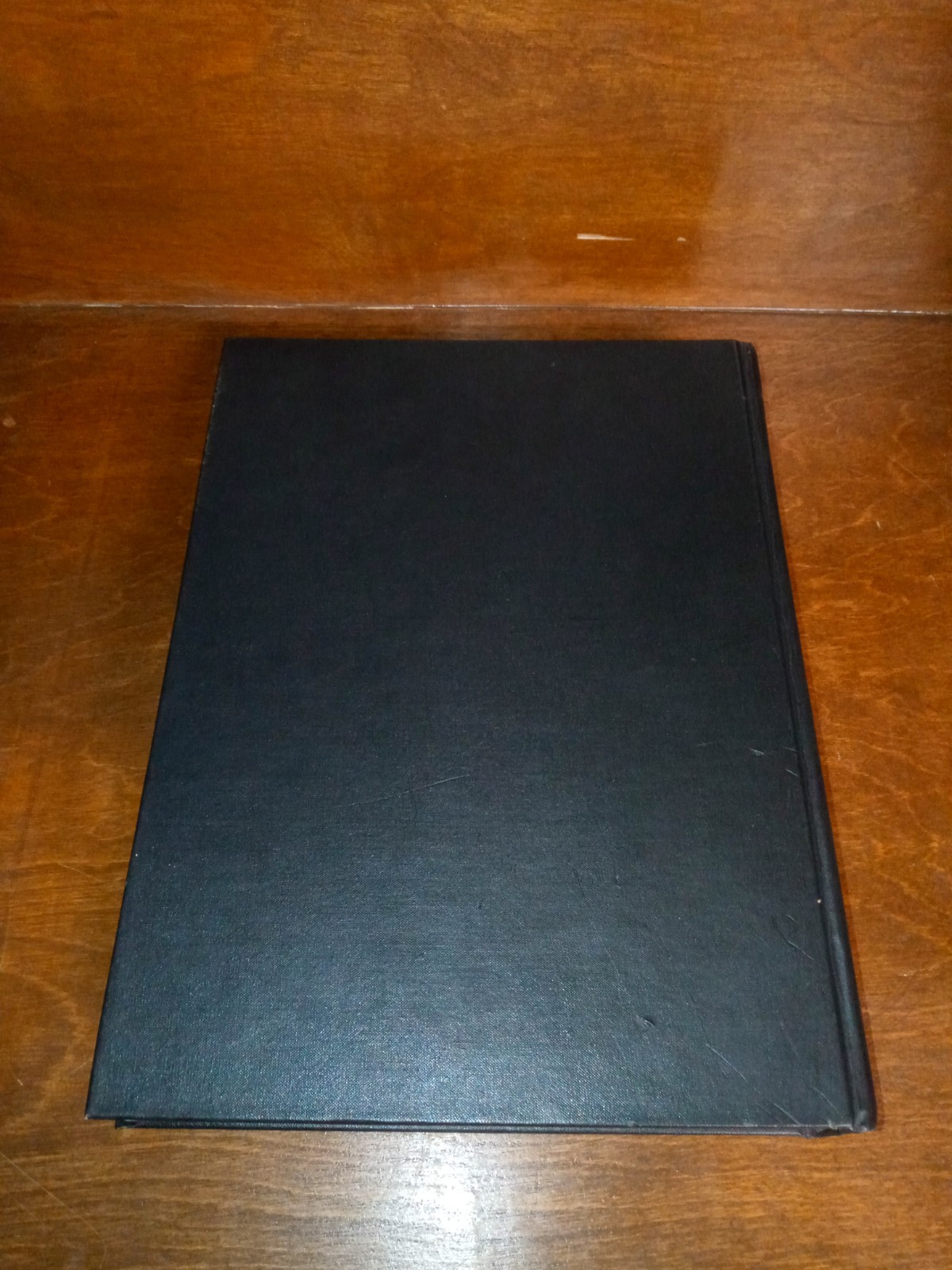 SAN JACINTO VALLEY Past and Present CALIFORNIA Volume I 1989 Hard Cover