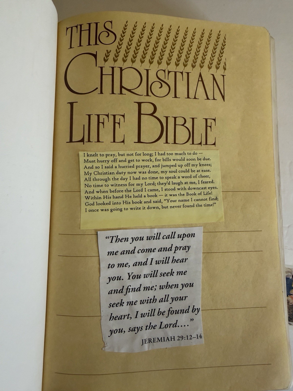 Christian Life Bible Burgundy Genuine Leather Leather NKJV