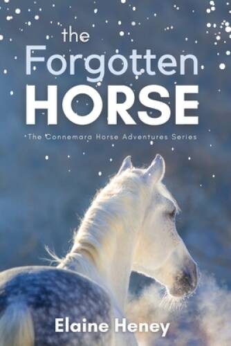 The Forgotten Horse – Book 1 in the Connemara Horse Adventure Series for – GOOD