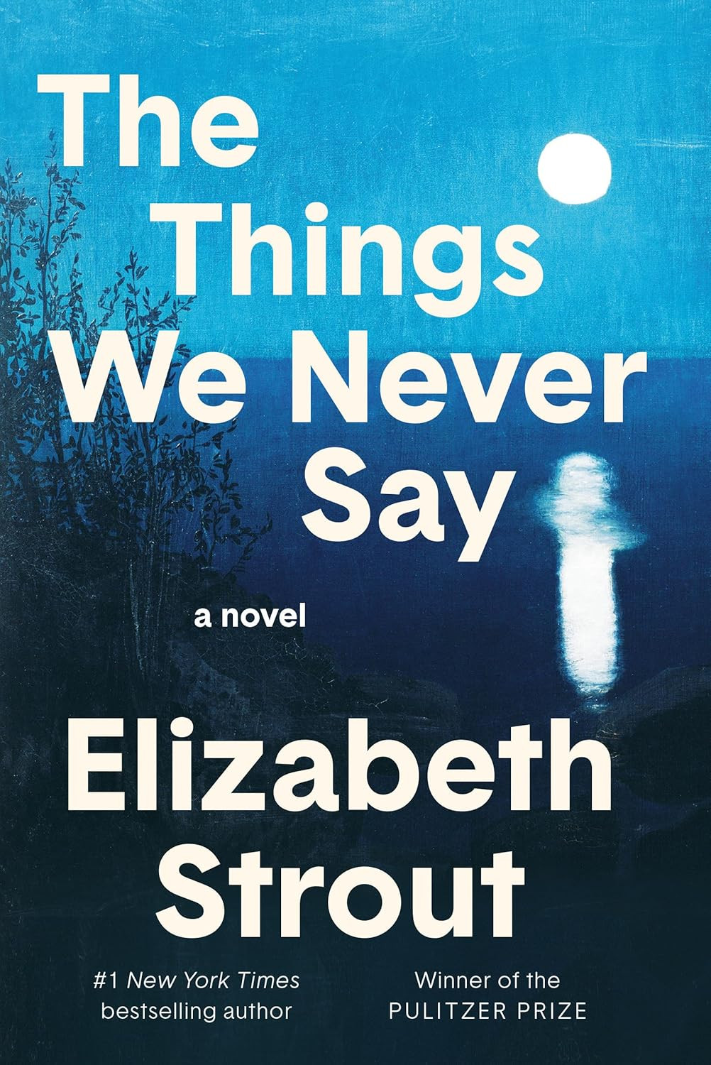 The Things We Never Say: a Novel