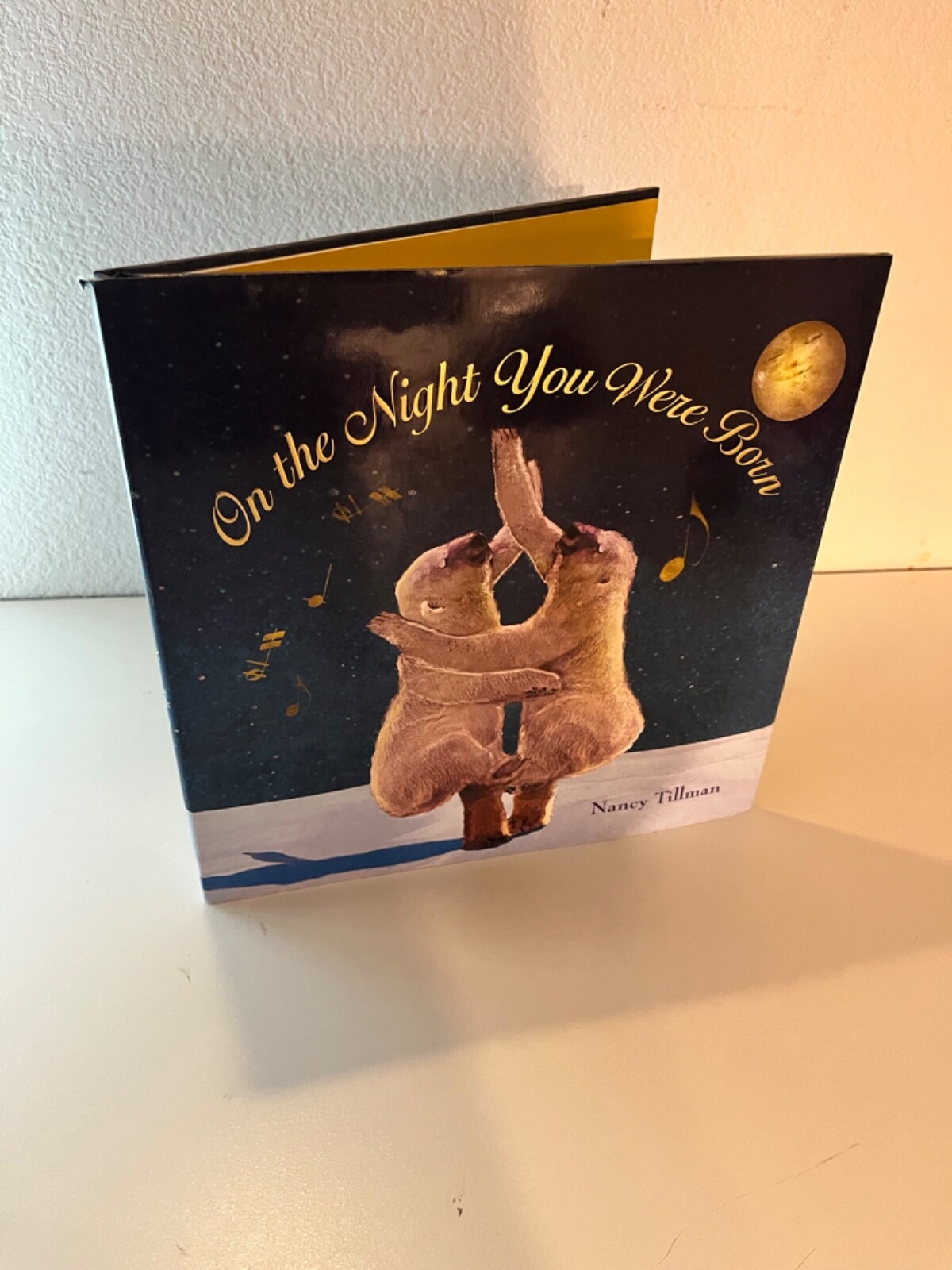 On the Night You Were Born by Nancy Tillman 2006 Hardcover w/DJ Feiwel