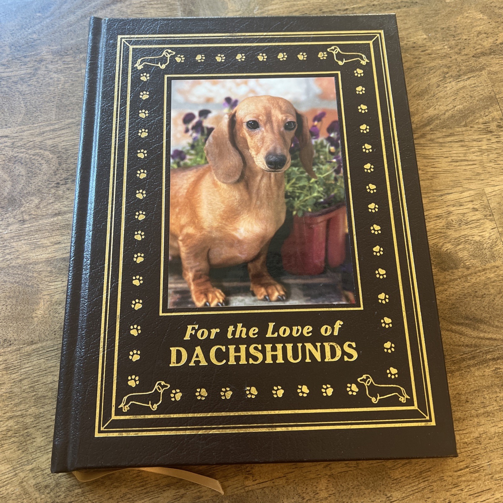 For The Love Of Dachshunds by Robert Hutchinson – EXCELLENT / UNREAD