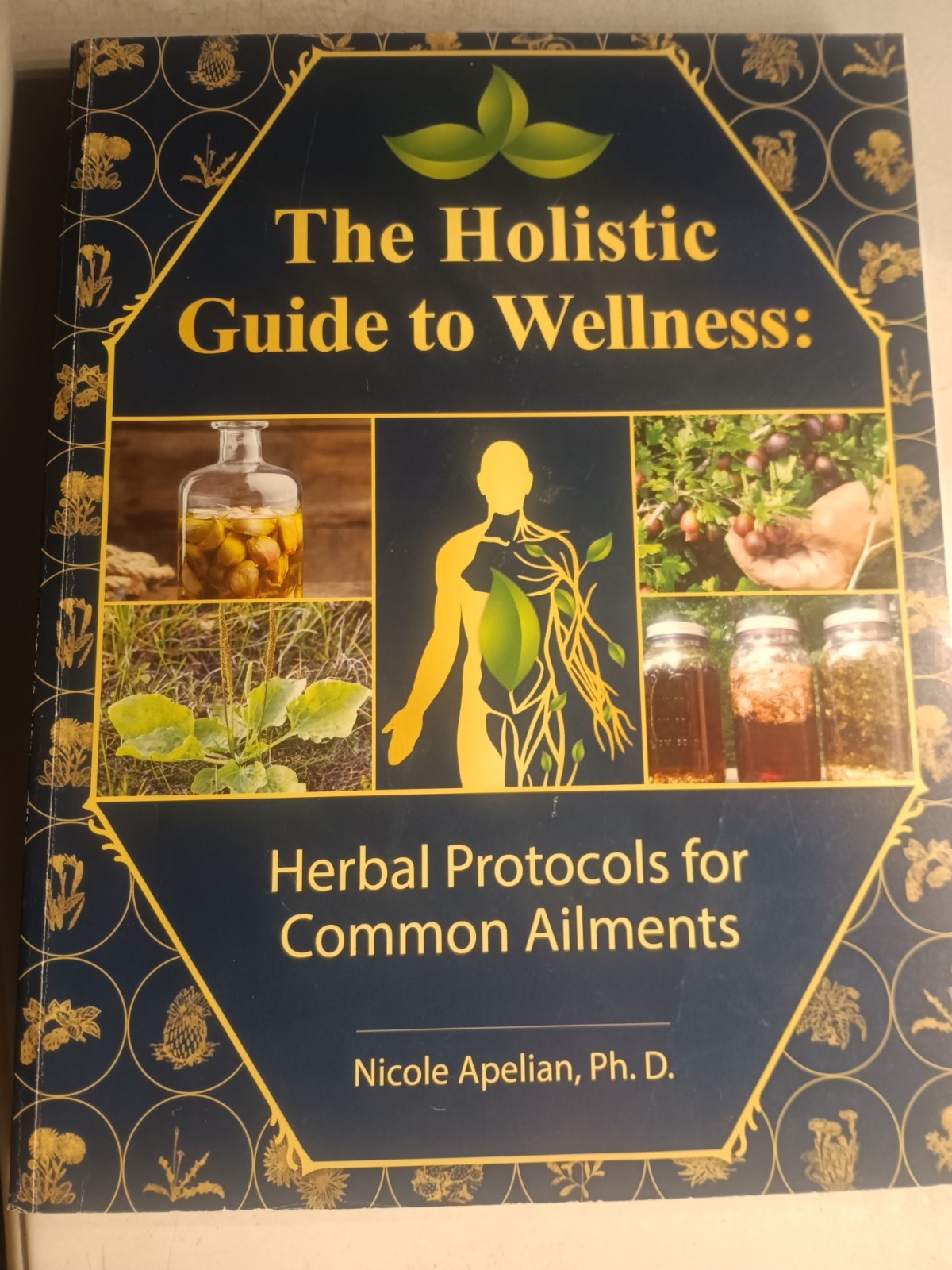 The Holistic Guide to Wellness : Herbal Protocols for Common Ailments Paperback