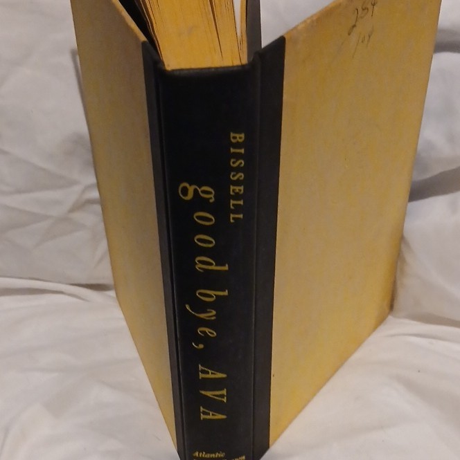 Little, Brown good bye, AVA Richard Bissell Hardcover 1960 Fiction 1st Ed