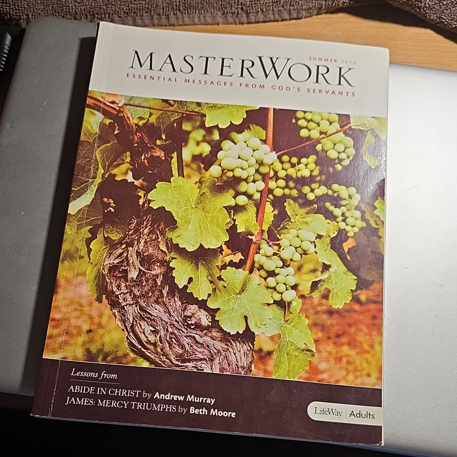 LifeWay MasterWork Adult Bible Study Paperback Various Lessons & Authors 2009