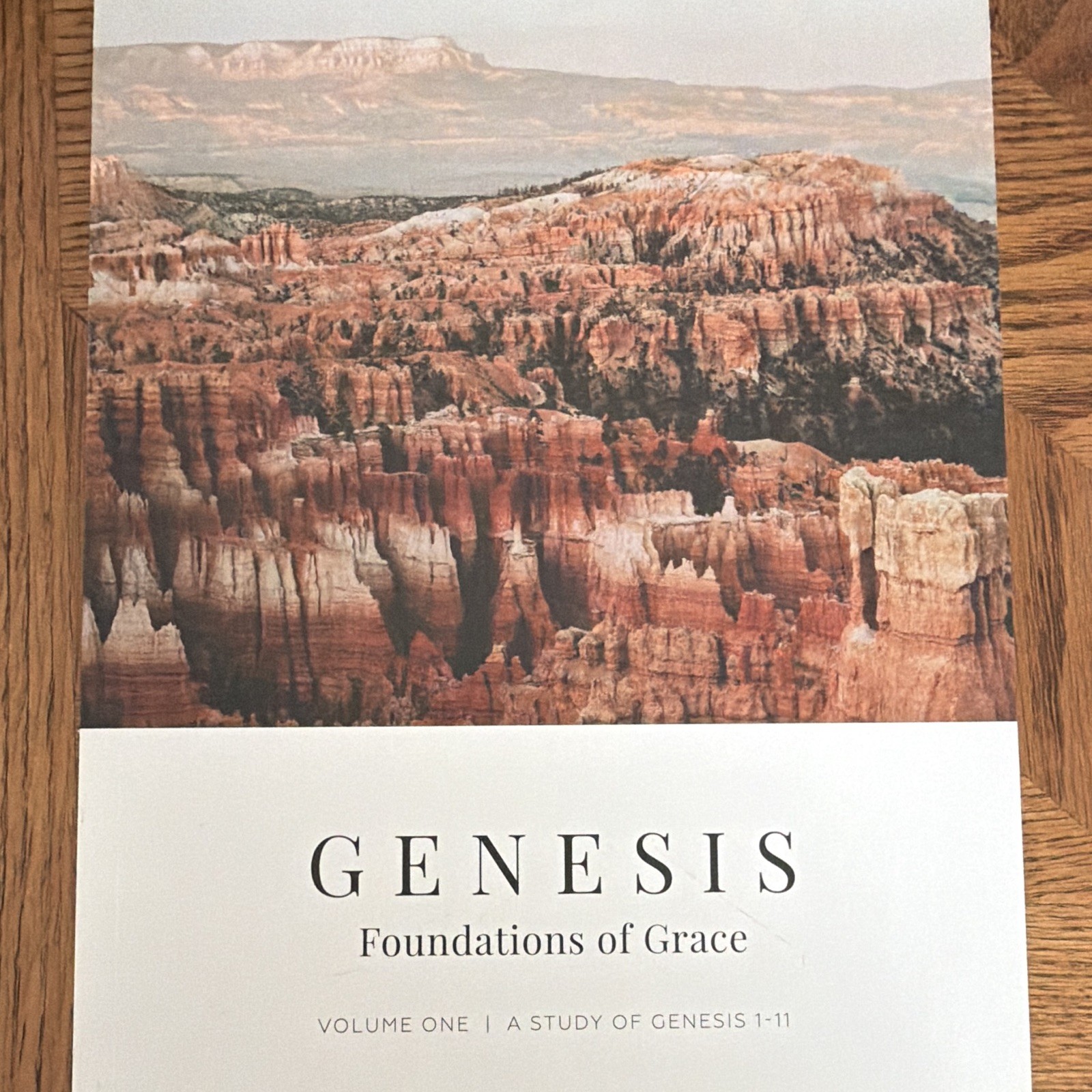 Genesis: Foundations of Grace Vol 1 Joanna Kimbrel PB Illus