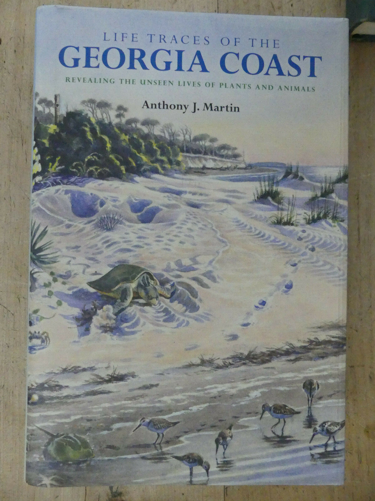 Life Traces of the Georgia Coast, Sample Book