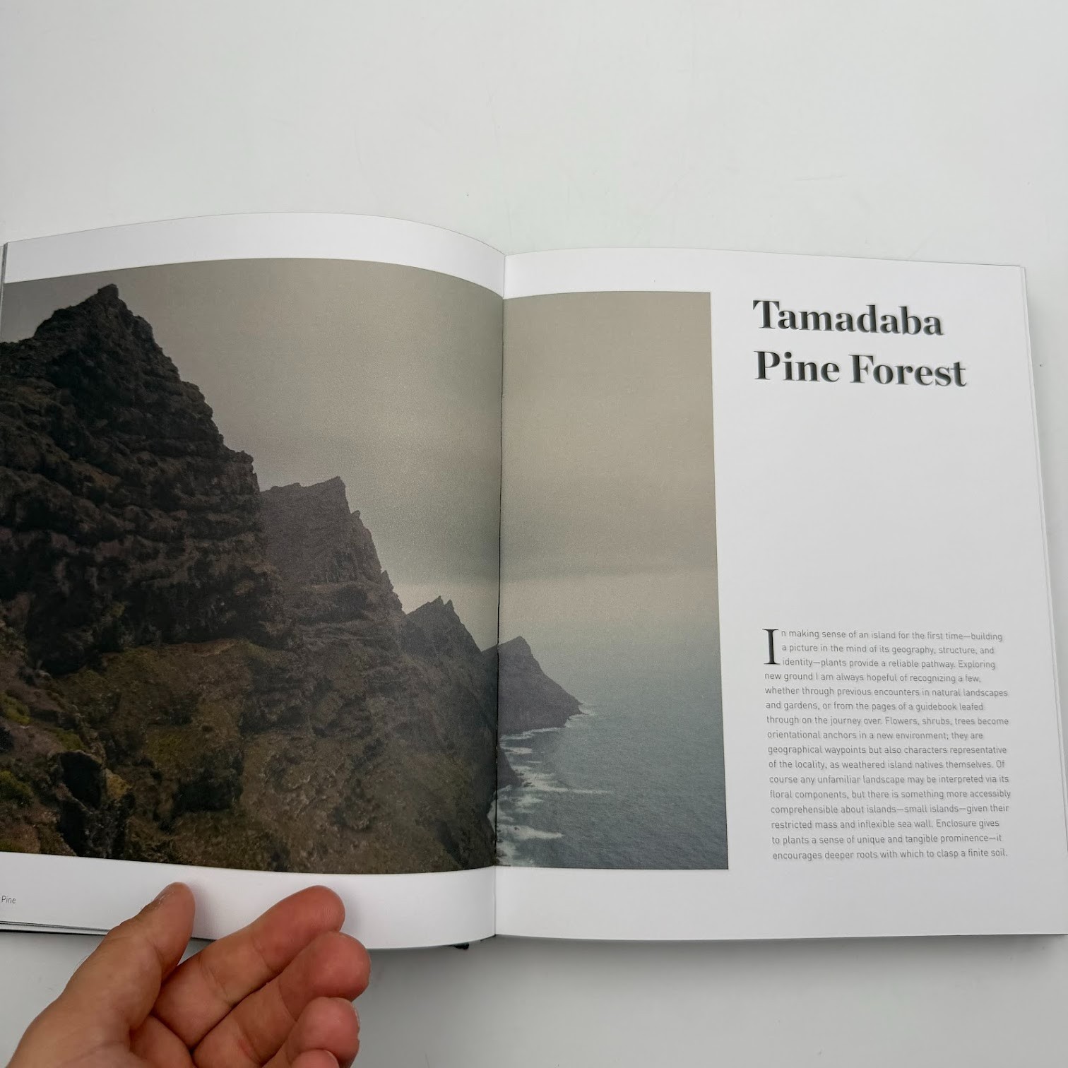 Forest by Matt Collins (2020, Hardcover) Tree Photography Book, Nature and World