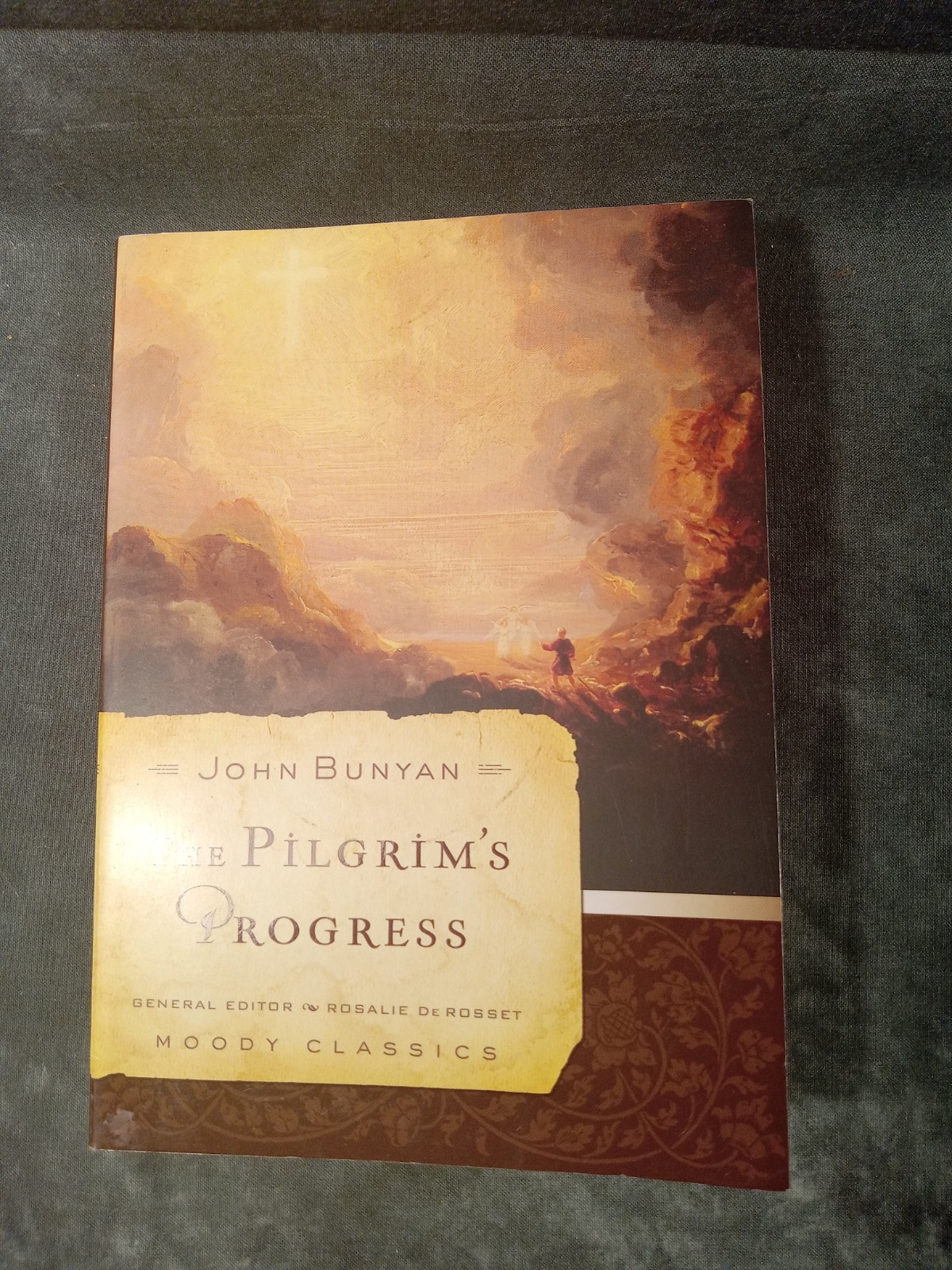 Lot of 15 Homeschooling Books for Challenge II including Pilgrim’s Progress