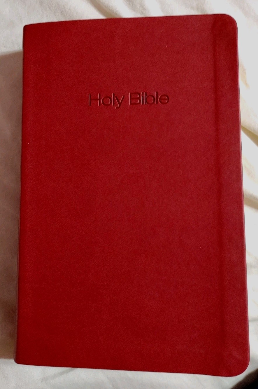 Holy Bible New International Version Leather Look Print 2011 Zondervan – Nice