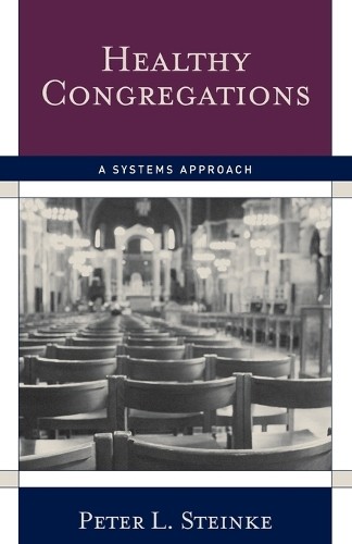 Peter L. Steinke Healthy Congregations (Paperback) (UK IMPORT)