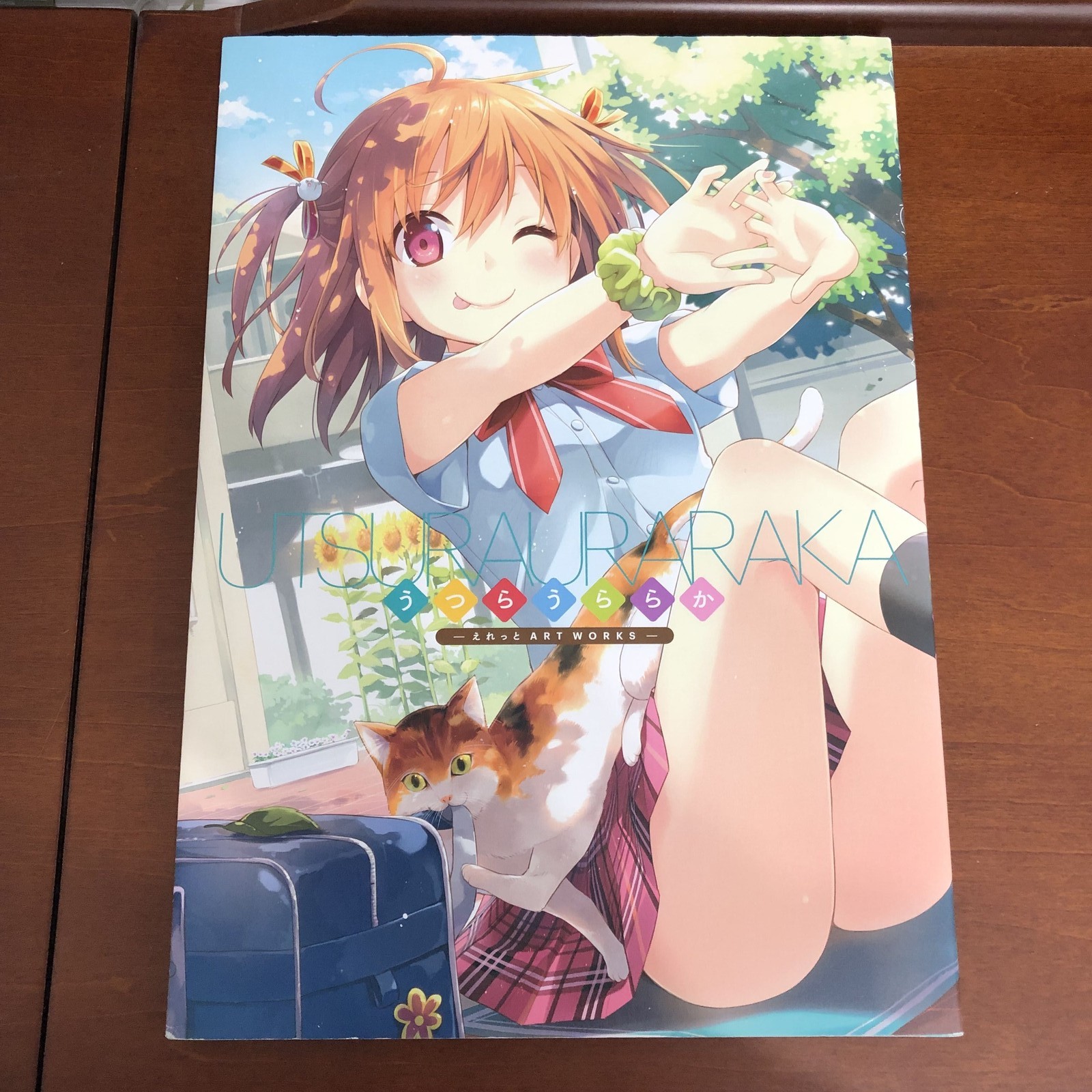 Utsura Uraraka Ellet Art Works Regular Edition Art Book Illustration