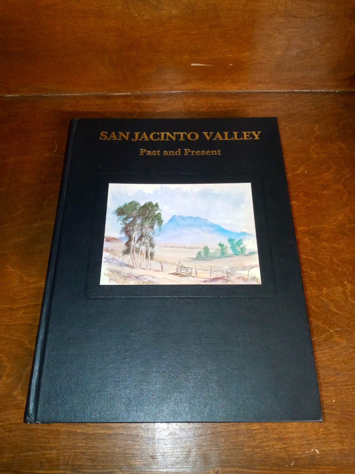 SAN JACINTO VALLEY Past and Present CALIFORNIA Volume I 1989 Hard Cover