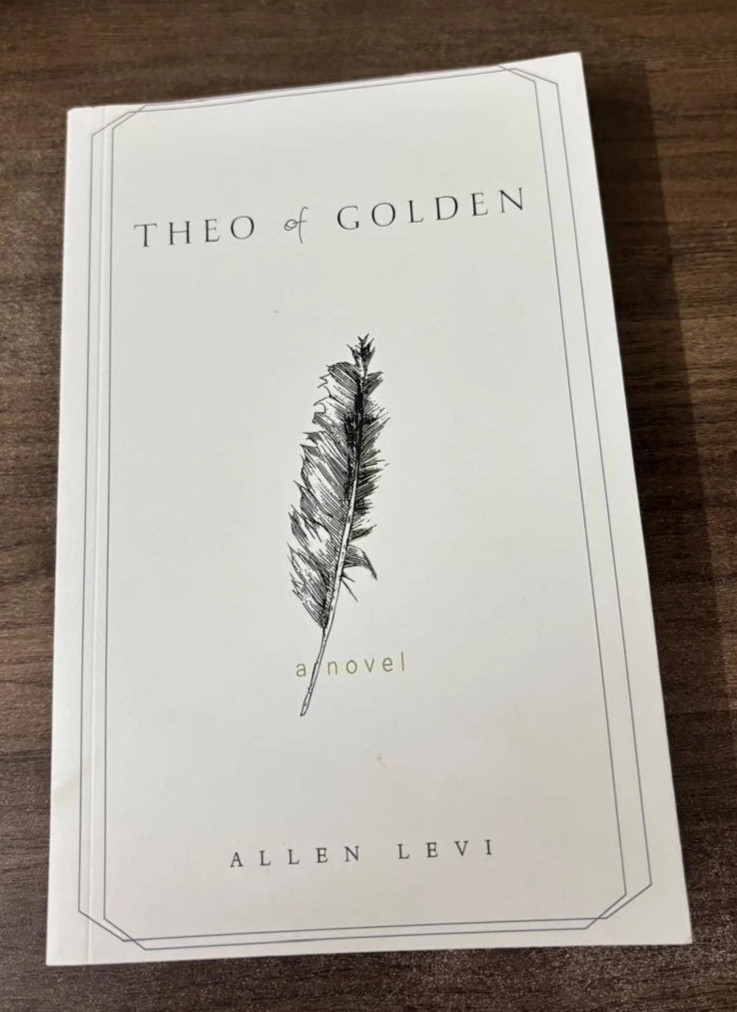 Perfect Book Gift for Christmas – Theo of Golden, Paperback