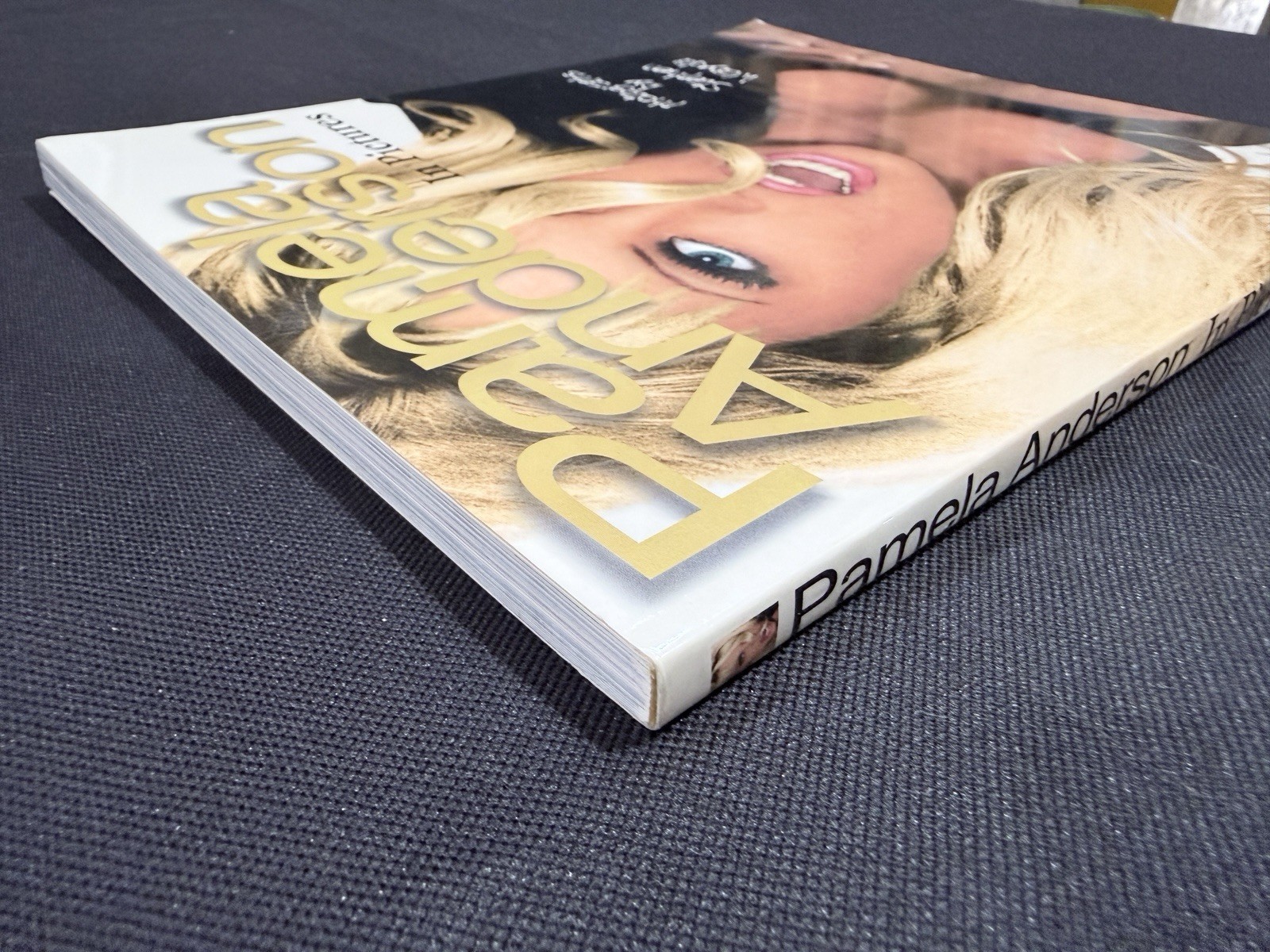 PAMELA ANDERSON IN PICTURES 1996 PAPERBACK BOOK BY STEPHEN WAYDA Excellent Cond